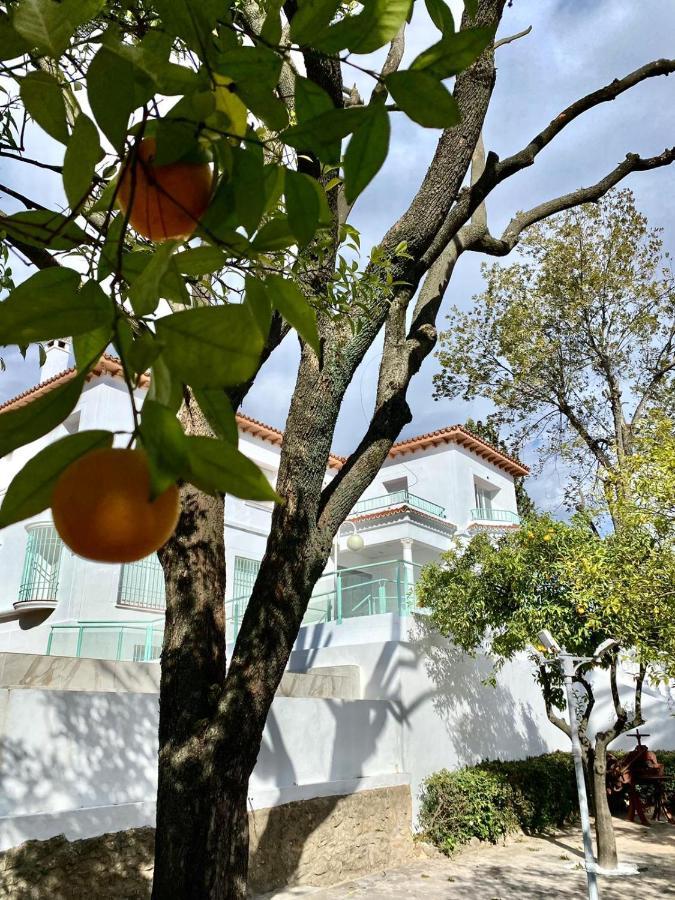 Los Almendros - Free Parking قرطبة المظهر الخارجي الصورة